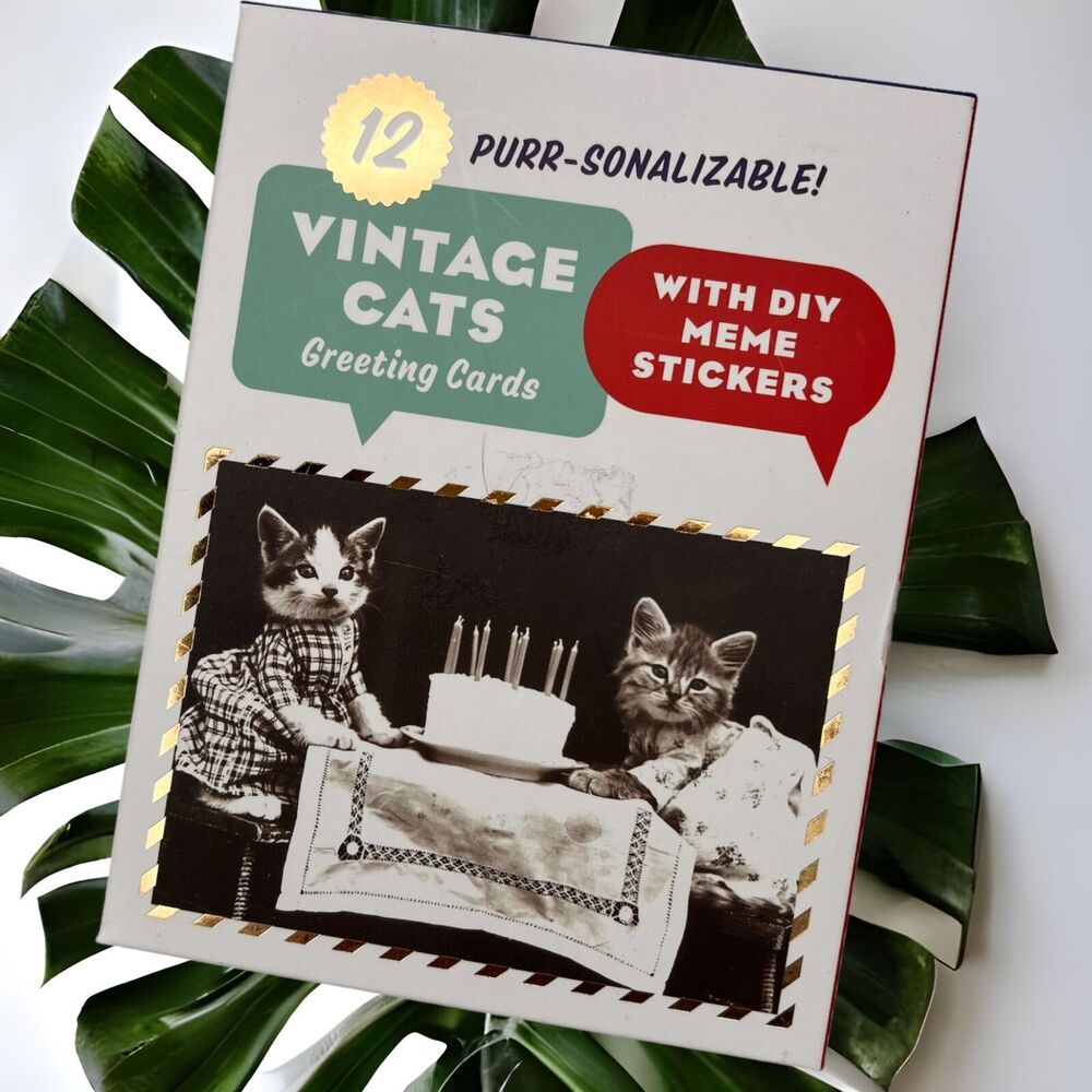 Vintage Cats Notecard Boxed Gift Set Greeting Cards with Envelopes Stickers